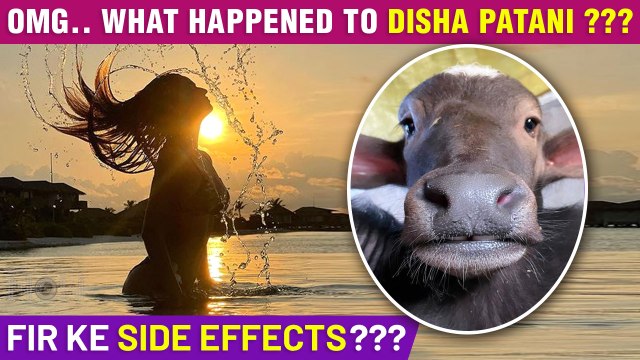Disha Patani Shares WEIRD Picture & A Bikini Photo After FIR Against Her