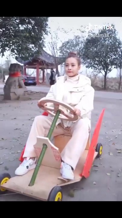 Make a car with natural objects