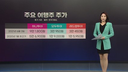 [앵커리포트] 코로나 직격탄 '항공·여행'...'주가'는 들썩거리지만 / YTN