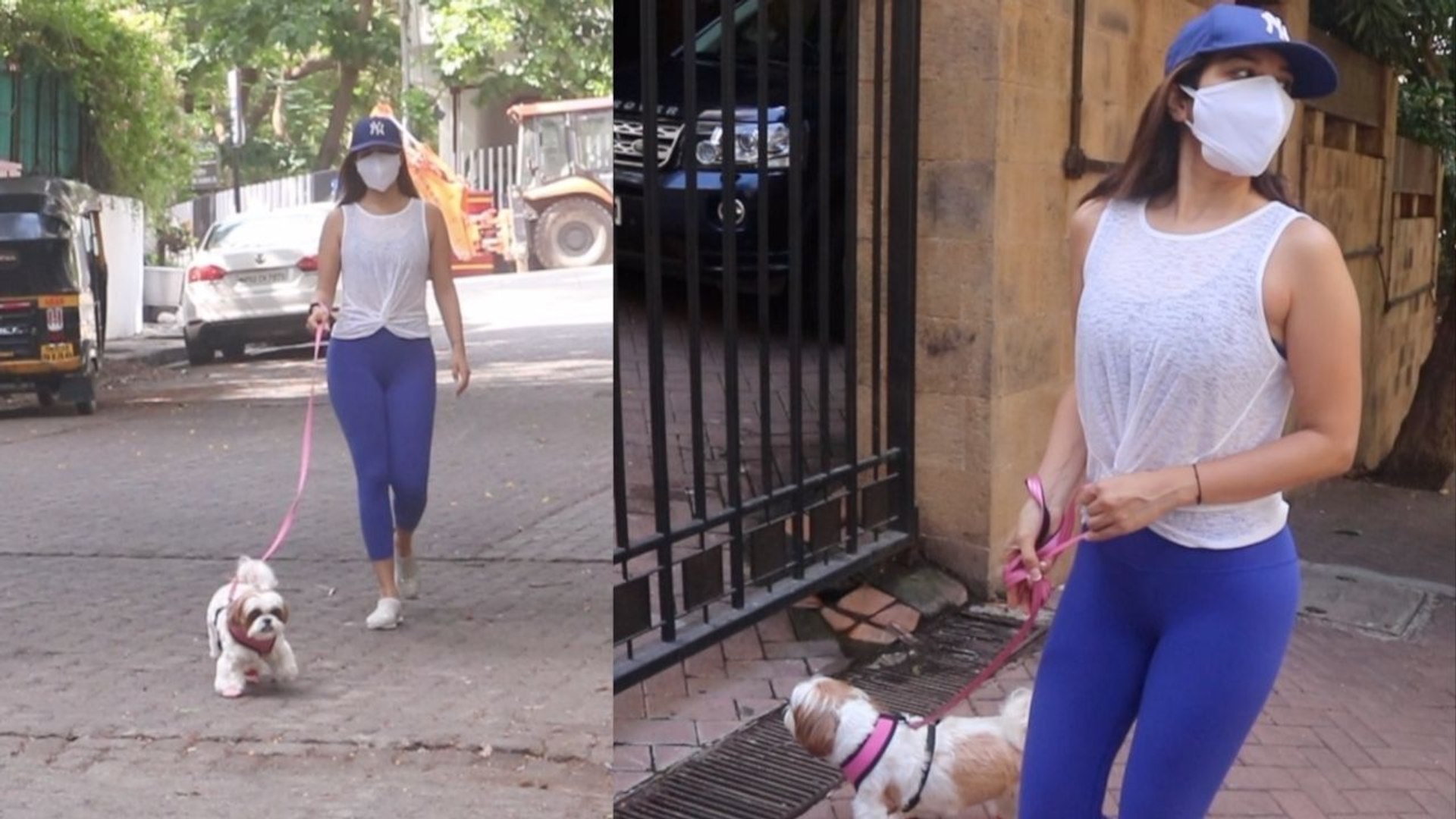 ⁣Sophie Chaudhary अपने Dog संग निकली घूमने;  Watch video | FilmiBeat