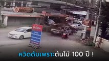 นาทีช็อก ! กิ่งต้นยางนา 100 ปี ร่วงทับกระบะติดไฟแดง ยับเยินชั่วพริบตา