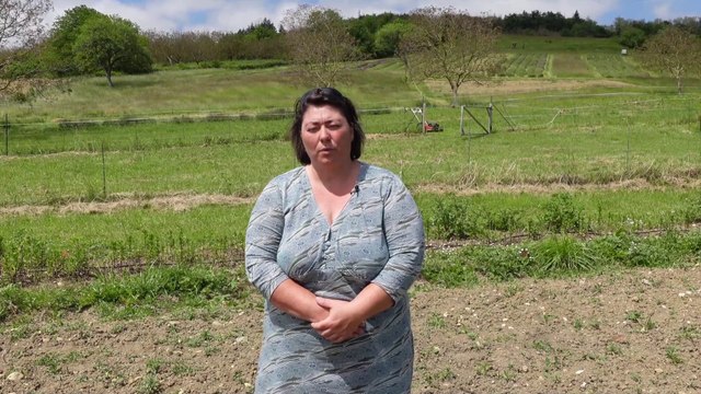 Aux collines arômatiques