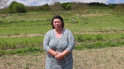 Aux collines arômatiques