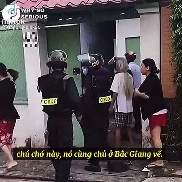 Chú chó bị đưa đi cách ly theo chủ nhân