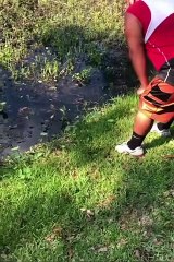 Baby Alligator Sends Grown Man Screaming