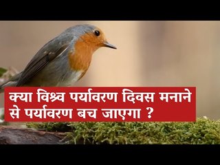 #WorldEnvironmentDay Not Enough To Save Our Planet?