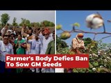 Why Are Farmers Defying A Ban To Sow GM Seeds in Maharashtra?