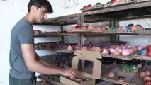 NEVŞEHİR - Avanos'ta üretilen 'çanak fincan setleri' Orta Doğu ve Avrupa ülkelerinden ilgi görüyor