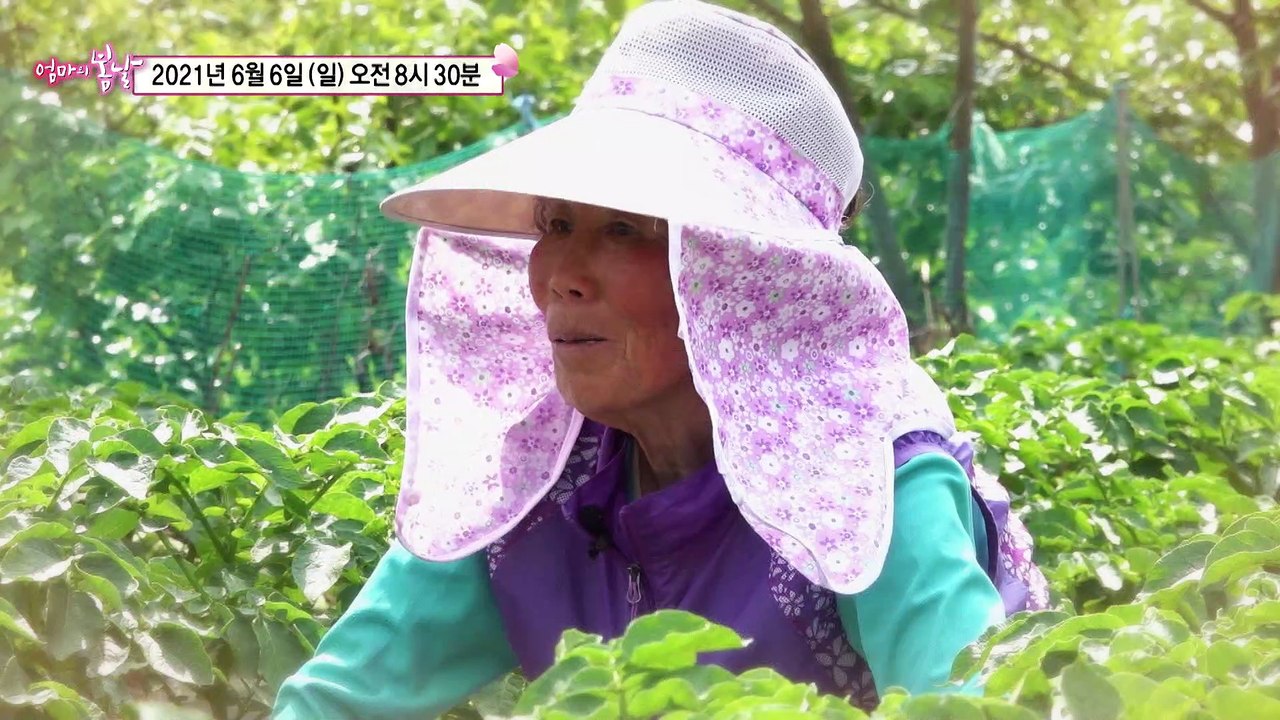 우리 인생 속도는 왜 이렇게 다를까?_엄마의 봄날 299회 예고 TV CHOSUN 2...