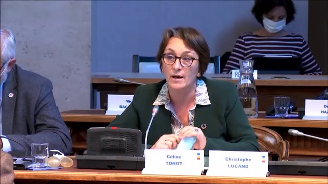 Céline TONOT. Budget supplémentaire pour la jeunesse et la culture. Session du 31 mai 2021