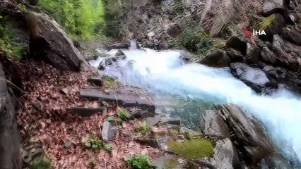 Tozluyan Şelalesi büyülüyor