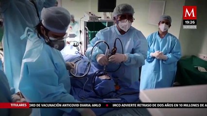 ¿Es contagioso? Esto es lo que sabemos del hongo negro en México