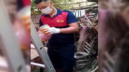 Gider borusunda mahsur kalan tavşanları itfaiye kurtardı