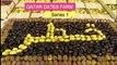 Qatar Dates Farm l Fresh Arab Dates l Dates Farming in Qatar l #QatarDatesFarm l Series1