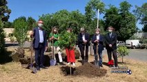 Oikos La Pittura Ecologica scende in campo per l'ambiente