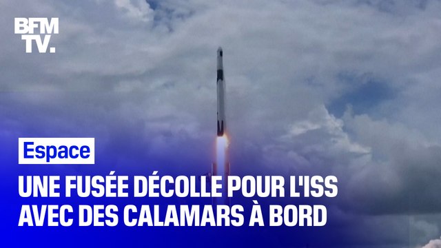 SpaceX envoie des calamars vers la Station spatiale internationale