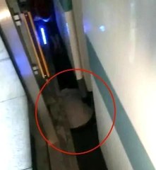 Çin'de 2 aylık bebek, metro ile platform arasına düştü