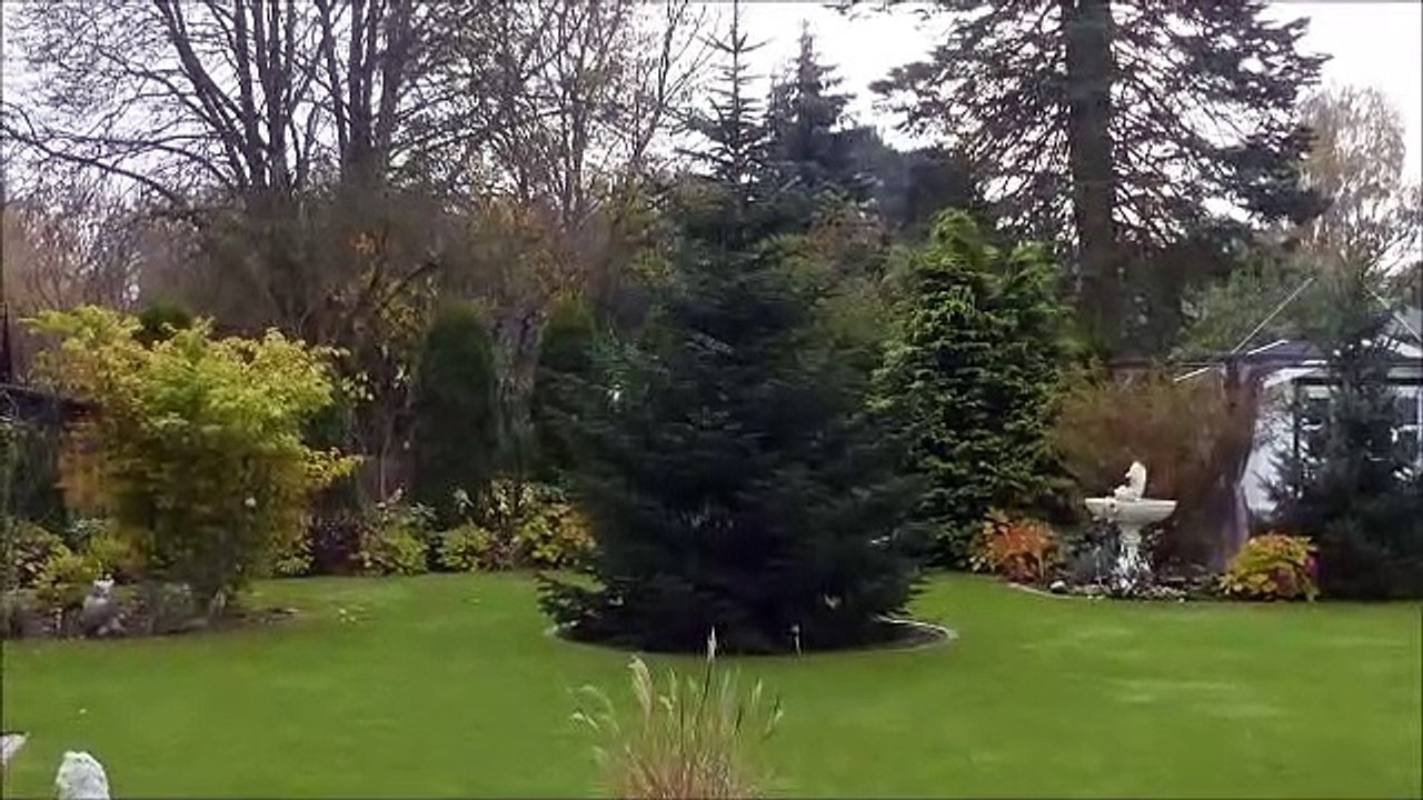 Ave Maria (Bach - Gounod) - Margerita Renz