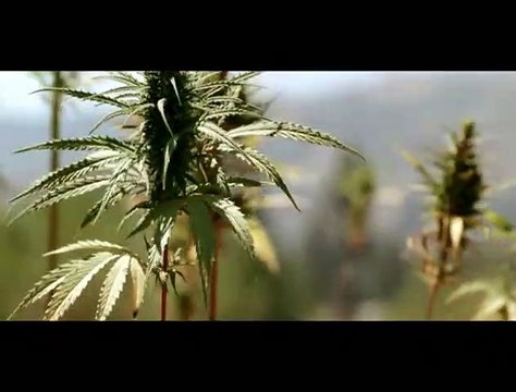 Go Fast Film (2007) - Avec Roschdy Zem, Olivier Gourmet, Jean-Michel Fête