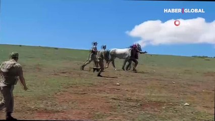 At sırtında kavgaya koştular