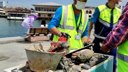 İSTANBUL - Dalgıçlar Kadıköy İskelesi'nde su altı temizliği yaptı