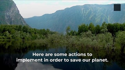 Simple Steps for a More Sustainable Life