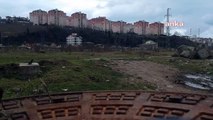 Ordu'da 15 milyon liraya mâl olan ancak şehir hastanesi yapılacağı gerekçesiyle yıkılan botanik park, otlak oldu