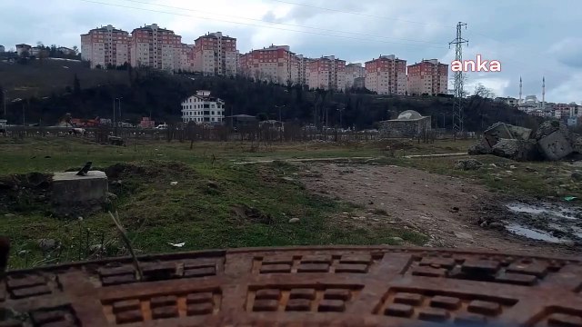 Ordu'da 15 milyon liraya mâl olan ancak şehir hastanesi yapılacağı gerekçesiyle yıkılan botanik park, otlak oldu