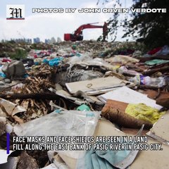 WATCH: Environmental hazards