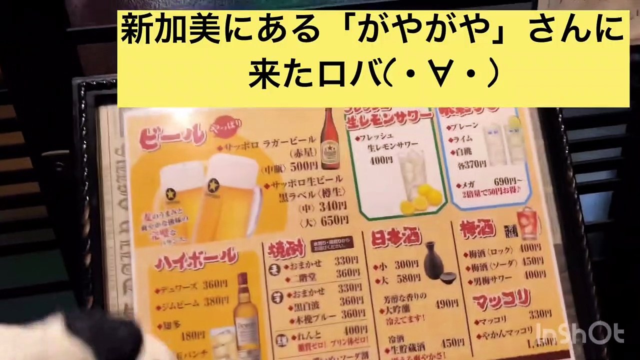 【新加美・がやがや】最強のせんべろに大満足だぜロバ(・∀・)