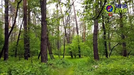 Çevre ve Şehircilik Bakanlığı: 'Şimdiye kadar 17 milyon ton atığı dönüştürdük'