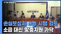 민주당, 손실보상제 9월 검토...소급 대신 맞춤형 지원 가닥 / YTN