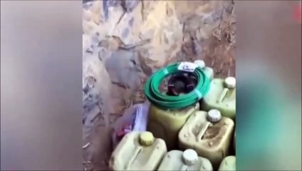 PKK mağarasından çok sayıda silah ve cesetler çıktı