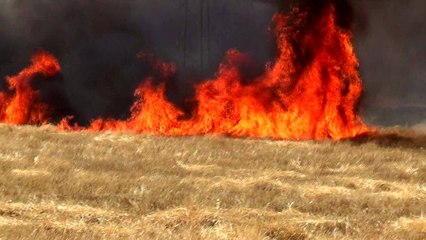 İtfaiye müdüründen çiftçilere anız yangını uyarısı