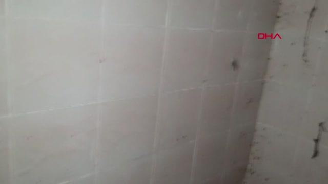 METRUK BİNADA BULUNAN PEÇELİ BAYKUŞ YAVRULARI, FOTO KAPANLA TAKİP EDİLECEK