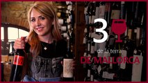 132 | EL CELLER D'EL NACIONAL | 3 vins de la terra de Mallorca