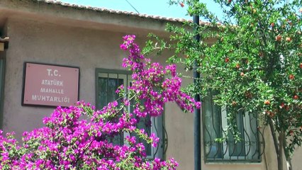 AYDIN - Sinema ve dizi oyuncusu Volkan Baş muhtarlığa aday oldu