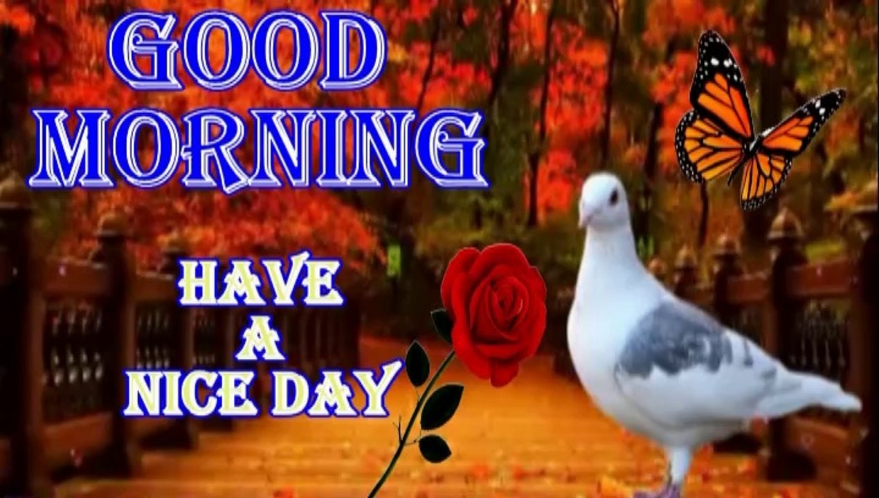 Good morning shayari video | Good Morning Whatsapp Status Video Song | good morning status | Good morning wishes | Morning Wish Video Song | Photos