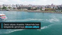 Anadolu Yakası'nda deniz salyası görüntüleri