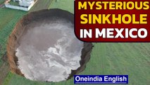 Mexico sinkhole stuns locals, growing slowly: What caused it? | Oneindia News