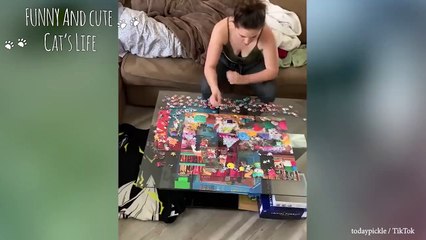 انها  حقا  حيوانات مضحكه جدا