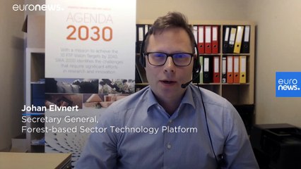 Formálódó papír- és cellulózipar: egy új korszak kezdete?