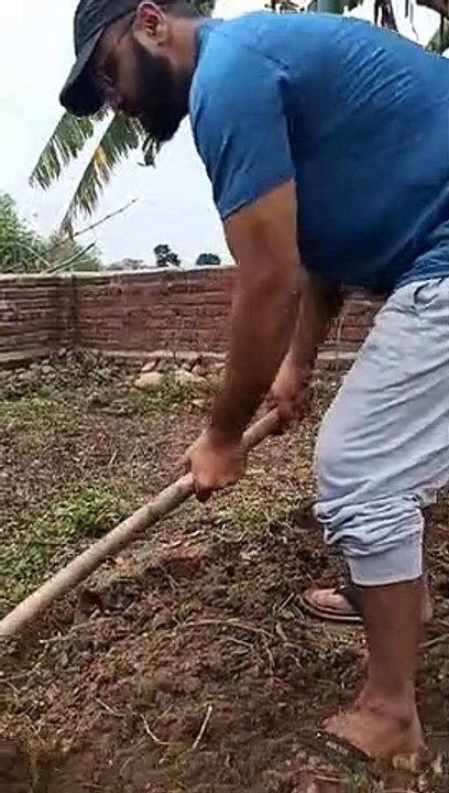 Kheto meh kis kis ne kaam kiya heh /  Enjoying in ploughing field and separating grasses