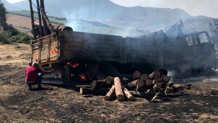 Ceyhan'da odun yüklü kamyon alev aldı