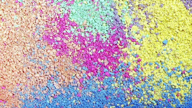 Color Transfusion Unique Science Experiment | Walking Water | Color Travel | Color Transfer Activity