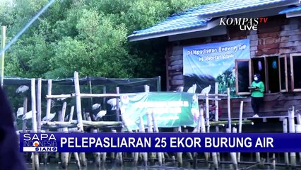 25 Burung Air Dilepasliarkan ke Hutan Mangrove di Gresik Jatim