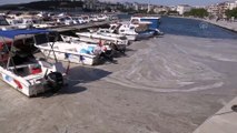 ÇANAKKALE - Marmara Denizi'ndeki müsilaj, Çanakkale kıyılarında rüzgarın etkisiyle yüzeyde görülüyor