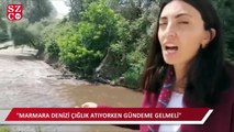 Uludağ'dan pırıl pırıl doğan Nilüfer Çayı simsiyah Marmara Denizi'ne dökülüyor