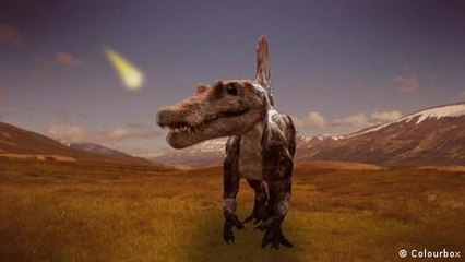 Which animals survived the dinosaur era?