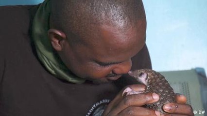 On a mission to rescue Nigerian wildlife